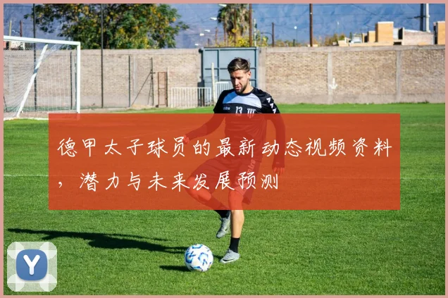 德甲太子球员的最新动态视频资料，潜力与未来发展预测