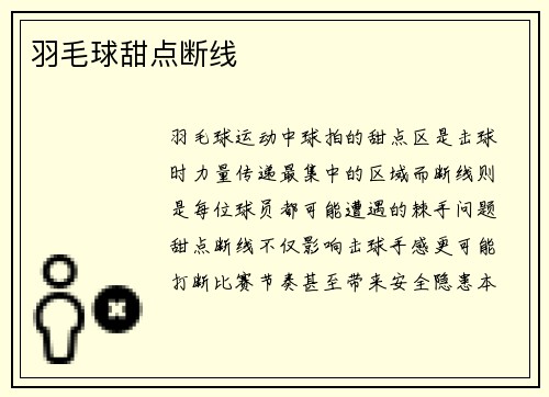 羽毛球甜点断线